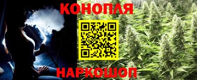 эйфоретик Гудермес