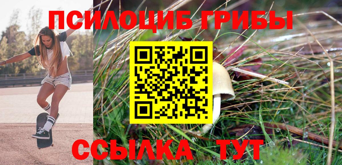 Калуга  купить наркотик  Вход с VPN  Псилоцибиновые грибы ЛСД 